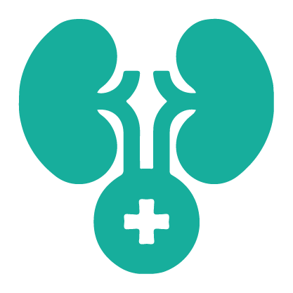 Urologist, urologist treatment